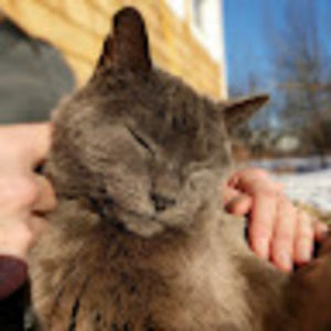 Meet your Posher, Maisie